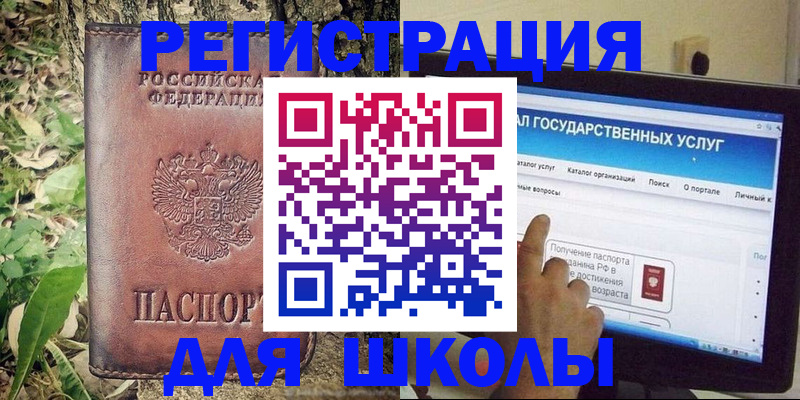 прописка для школы в Купино